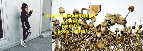 apvp Белокуриха