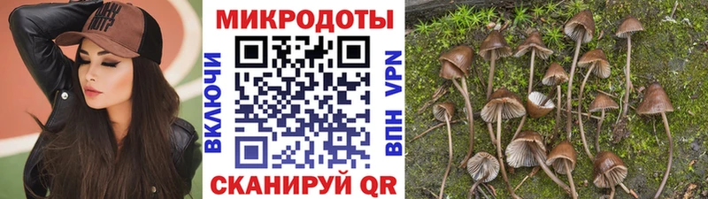 Псилоцибиновые грибы Cubensis  ОМГ ОМГ tor  Волгореченск  как найти  