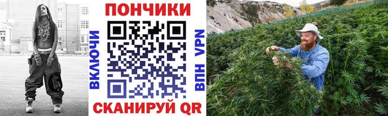 МАРИХУАНА планчик  Волгореченск 